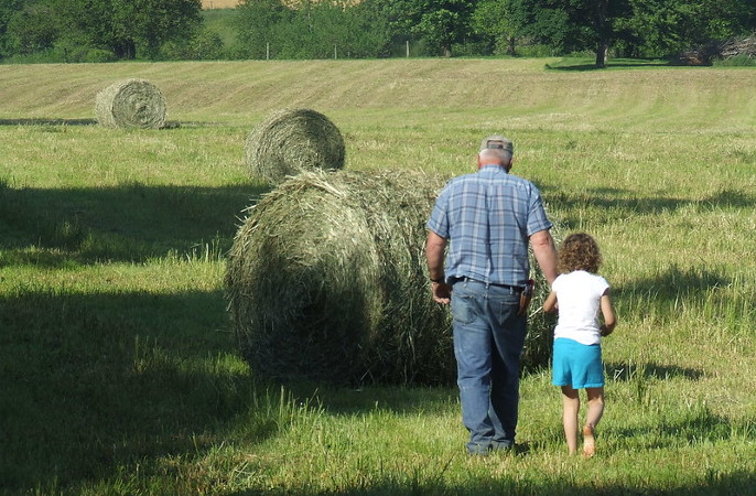 little girl holding granddads hand