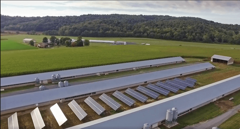 turkey houses with solar array